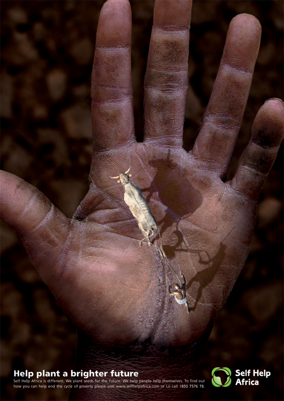 self-help-africa_800x5661